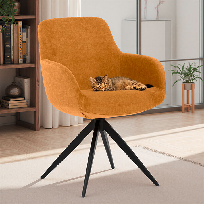 divi-cart-pro-beauty-about-1